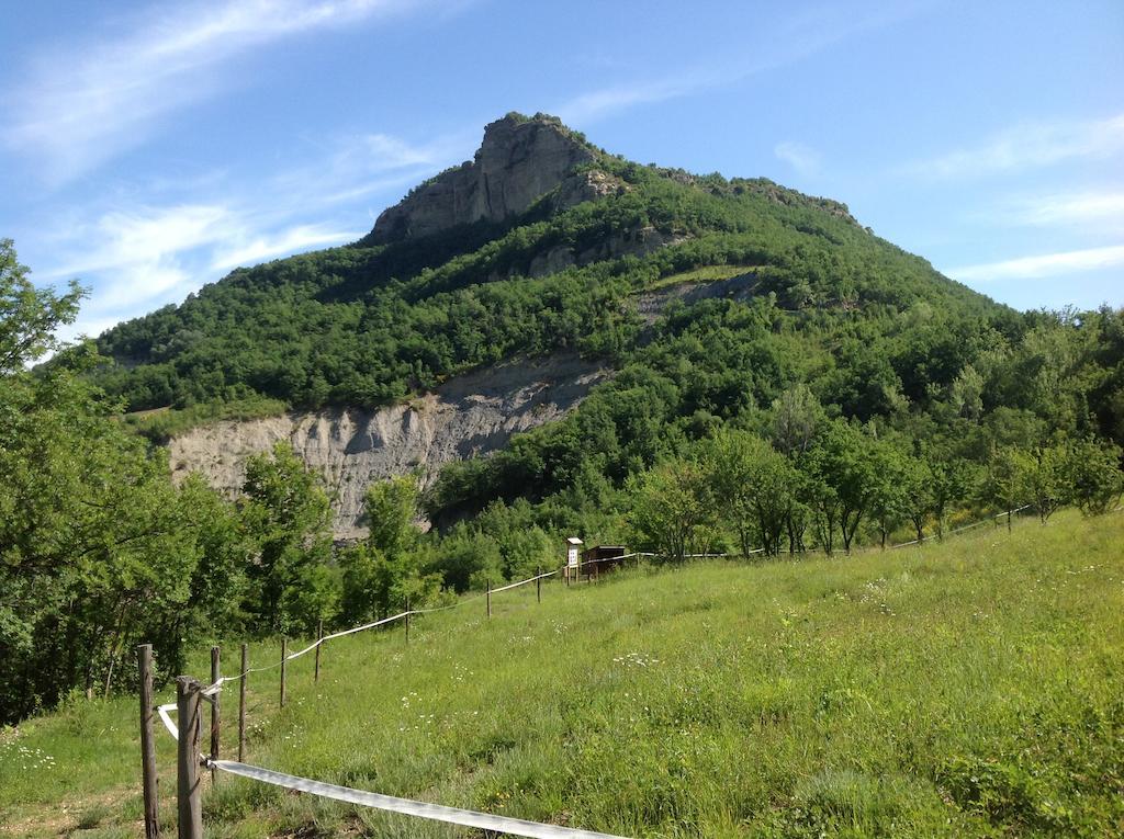 Agriturismo Ca' Di Mazza Monzuno Exterior foto